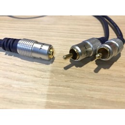 MC2147F ETENSION 3,5 HEMBRA 2 MACHO RCA DIGITAL