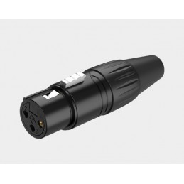 RX3FPNT JACK CANON HEMBRA XLR ROXTONE