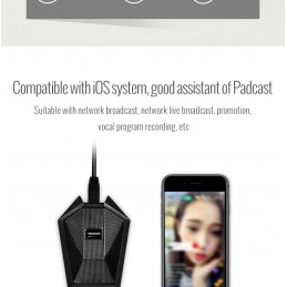 BM621USB MICROFONO CONDENSADOR TAKSTAR ESTUDIO